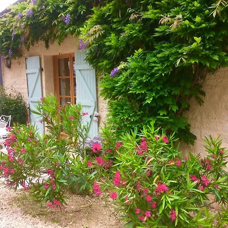 Bed & Breakfast Les Jonquilles