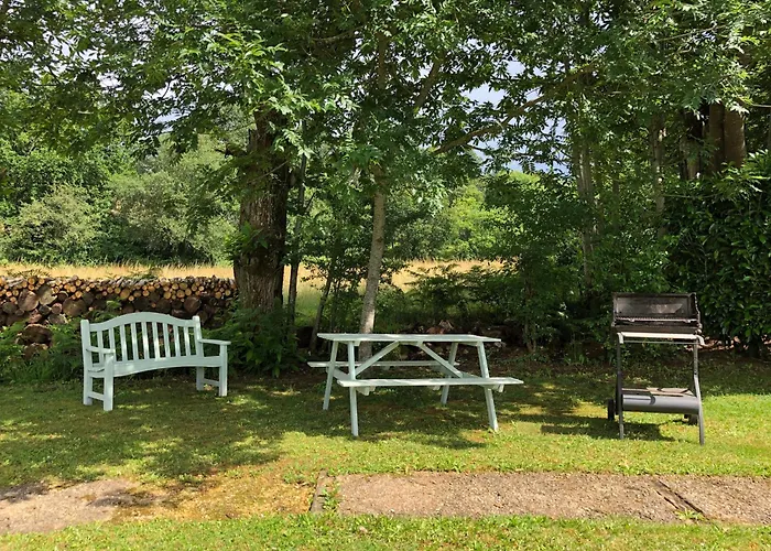 Les Jonquilles Domme